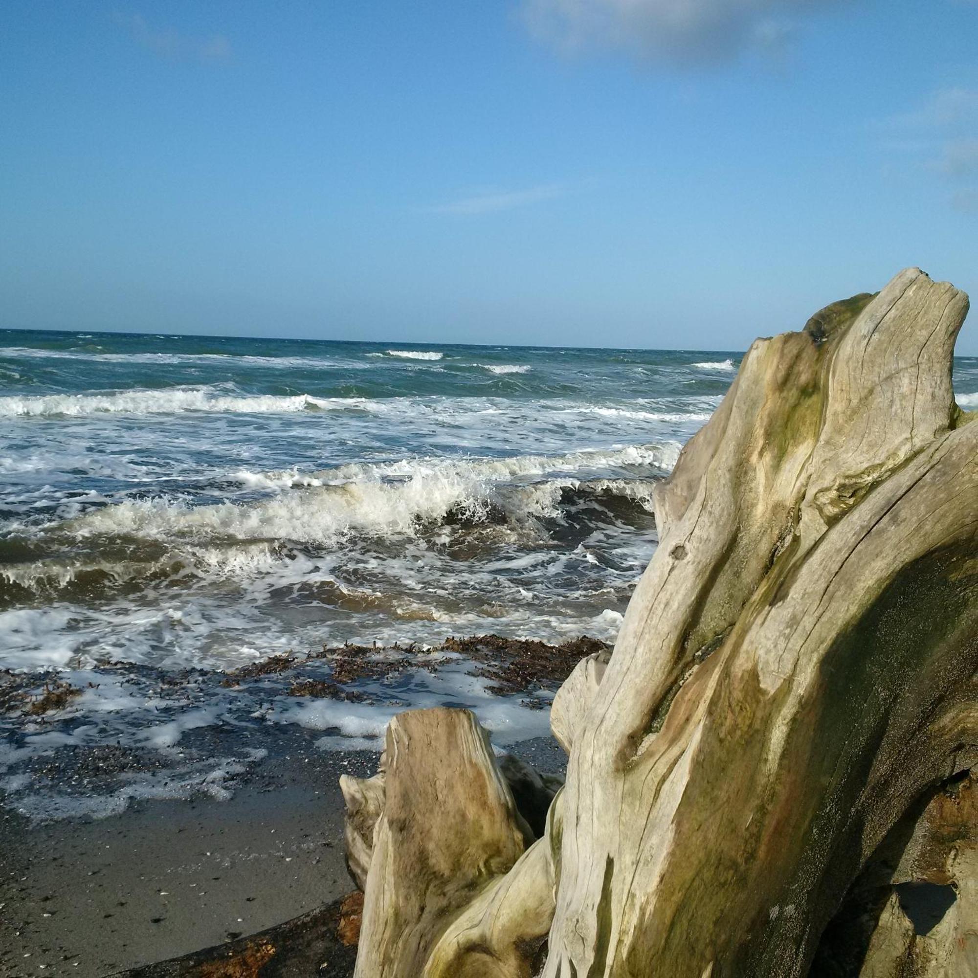 Duene-9 In Dierhagen-Strand Стая снимка